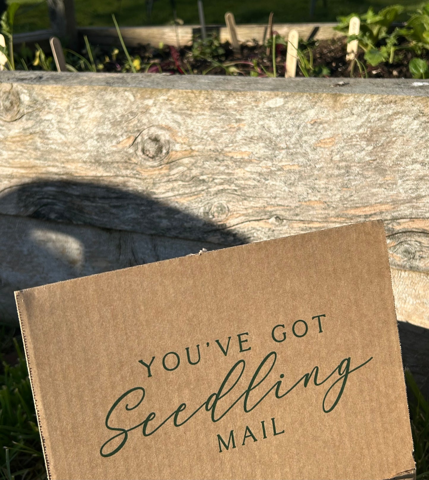 The Full Year Garden Subscription - FREE SHIPPING* - FIRST BOX November 2025