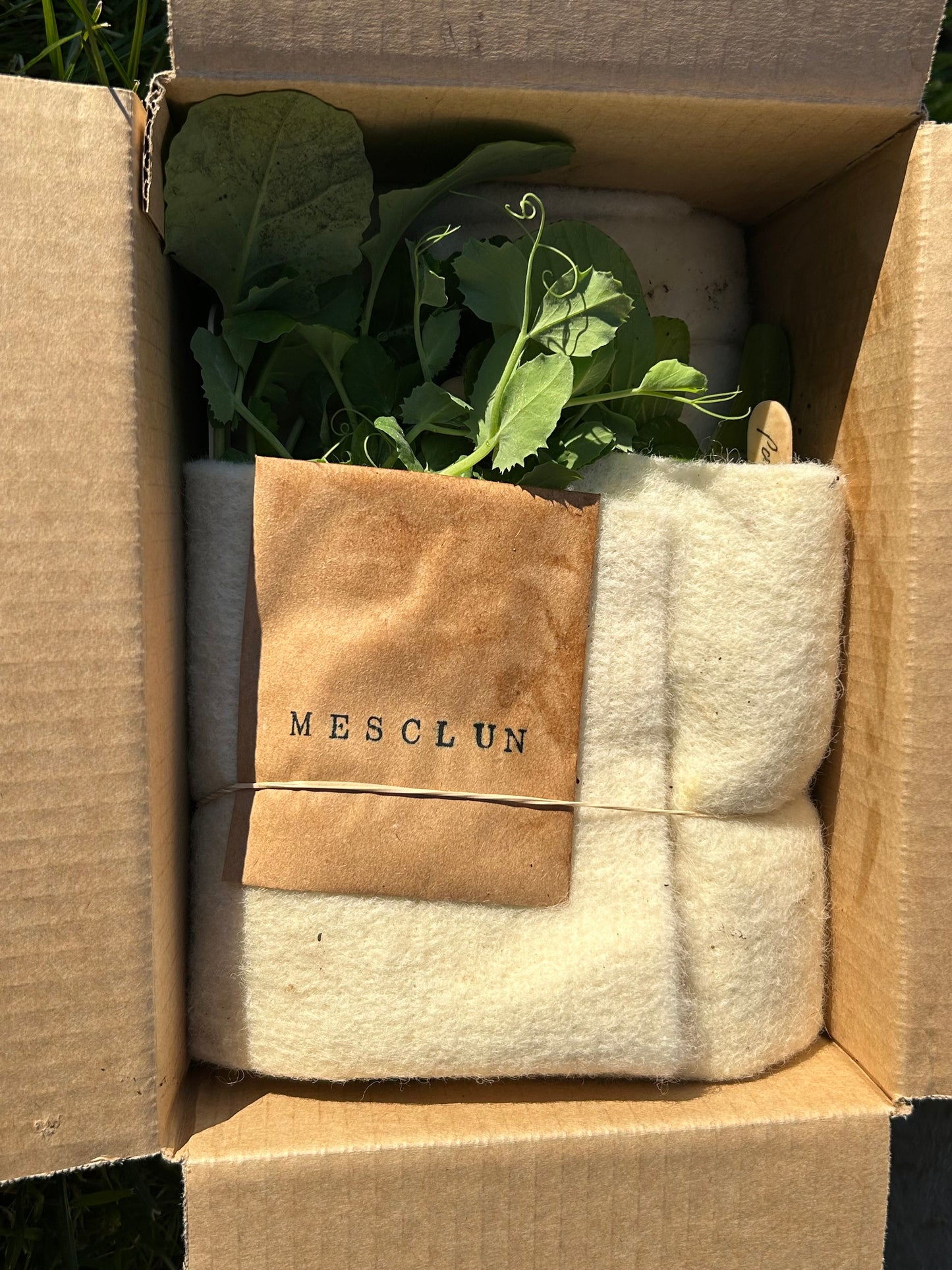 The Full Year Garden Subscription - FREE SHIPPING* - FIRST BOX November 2025